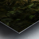 Z91 2804 Impression metal