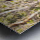 NBC081123046 Enhanced NR Edit Metal print