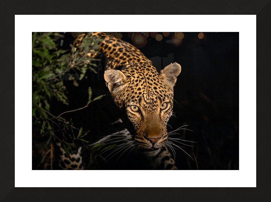 Z91 7533 Picture Frame print