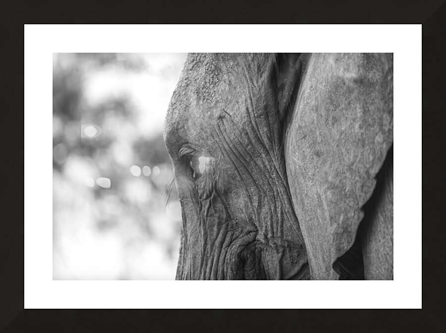 NBC081123037 Enhanced NR Picture Frame print