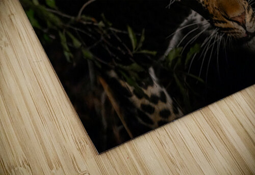 Z91 7533 Photos by SMA puzzle