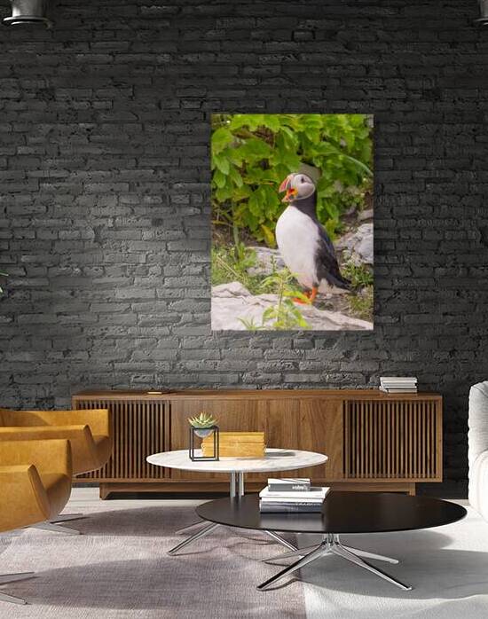 Z91 1832 Edit by Photos by SMA