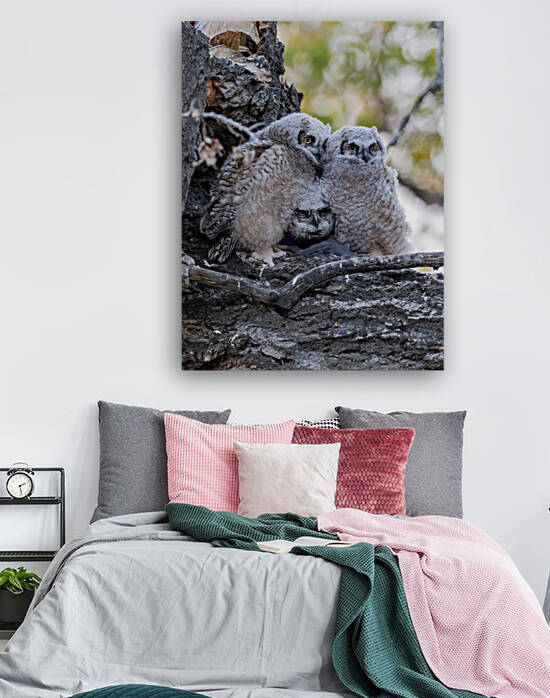 Three GHO 36x48 by Photos by SMA
