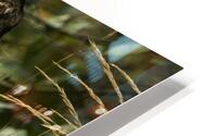 Z91 2804 Impression metal HD