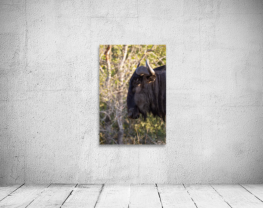 NBC081123046 Enhanced NR Edit Wall Preview