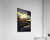 Reflections Acrylic Print