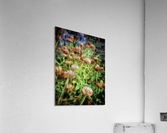 Untitled Acrylic Print