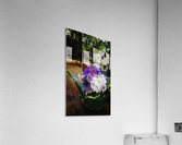 Arrangement Acrylic Print