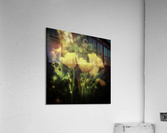 Ranunculus acris Acrylic Print