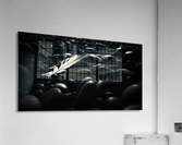 Soft Acrylic Print