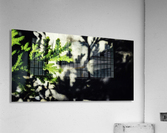 Untitled Acrylic Print