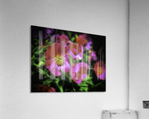 Paeonia Acrylic Print