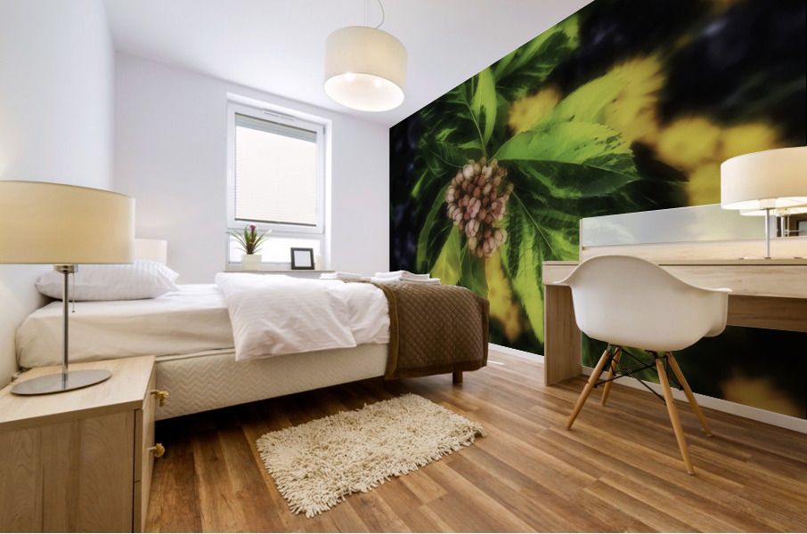 Sorbus x hostii Mural print