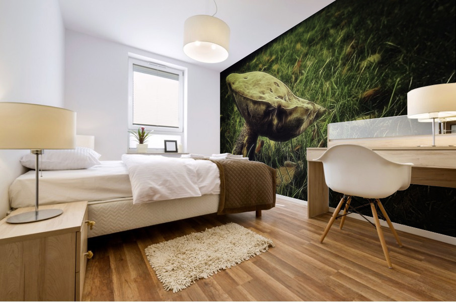 Fungus Mural print