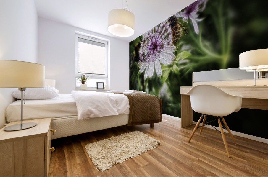 Astrantia major Mural print