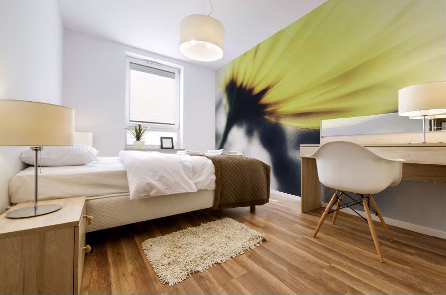 Doronicum orientale Mural print