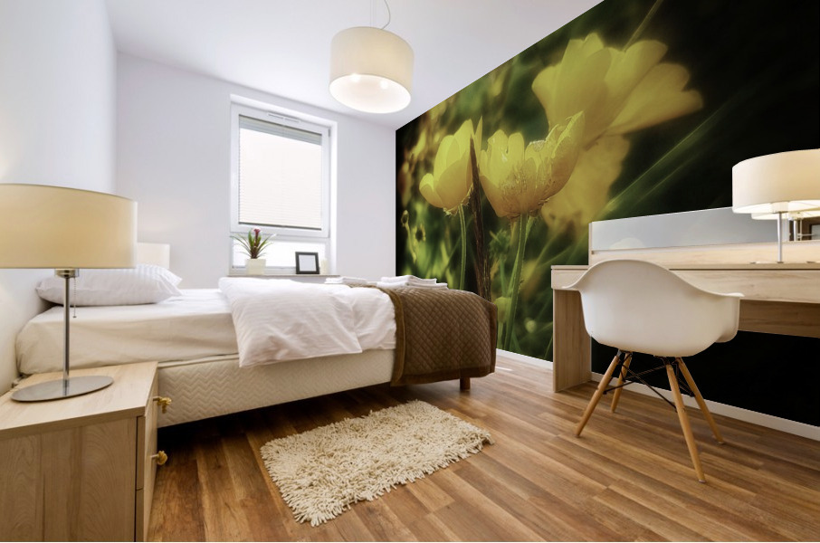 Ranunculus acris Mural print