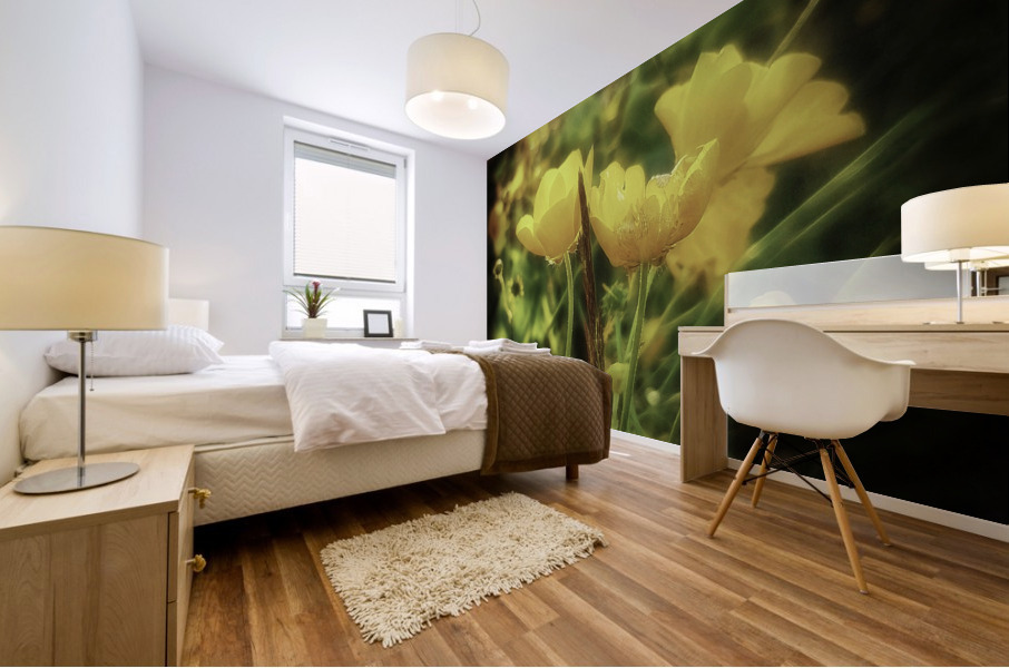 Ranunculus acris Mural print