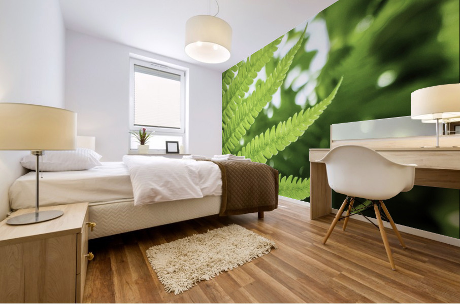 Fern Mural print