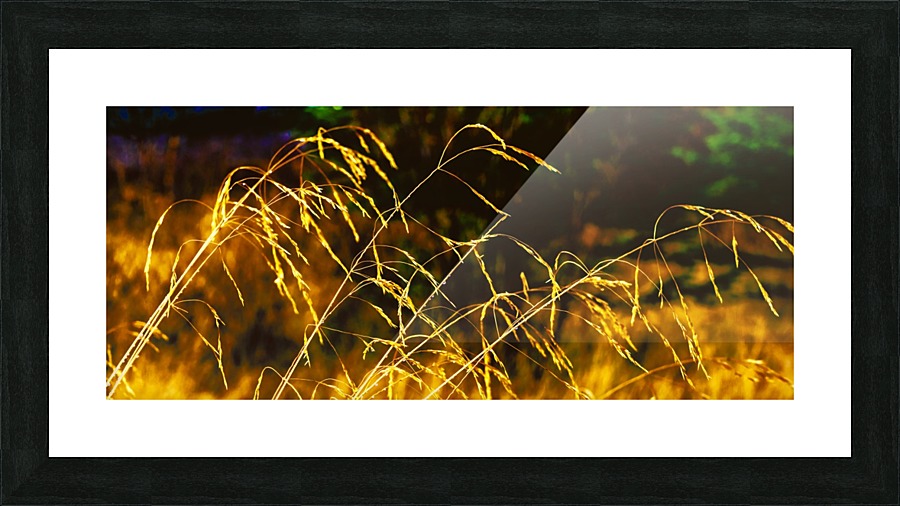 Straws Picture Frame print