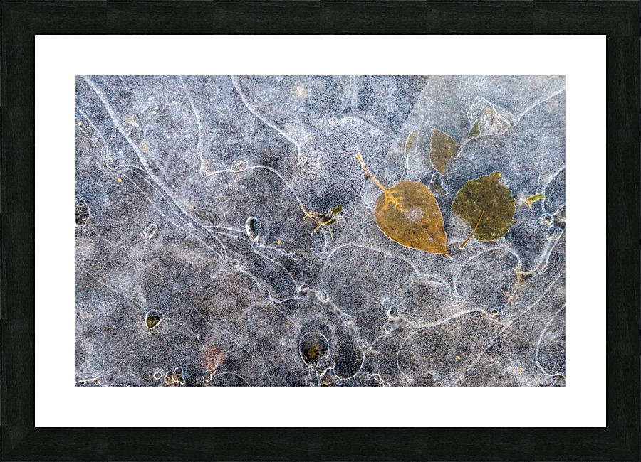 Waiting Picture Frame print
