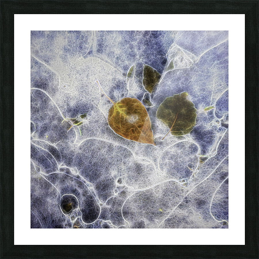 On ice Picture Frame print