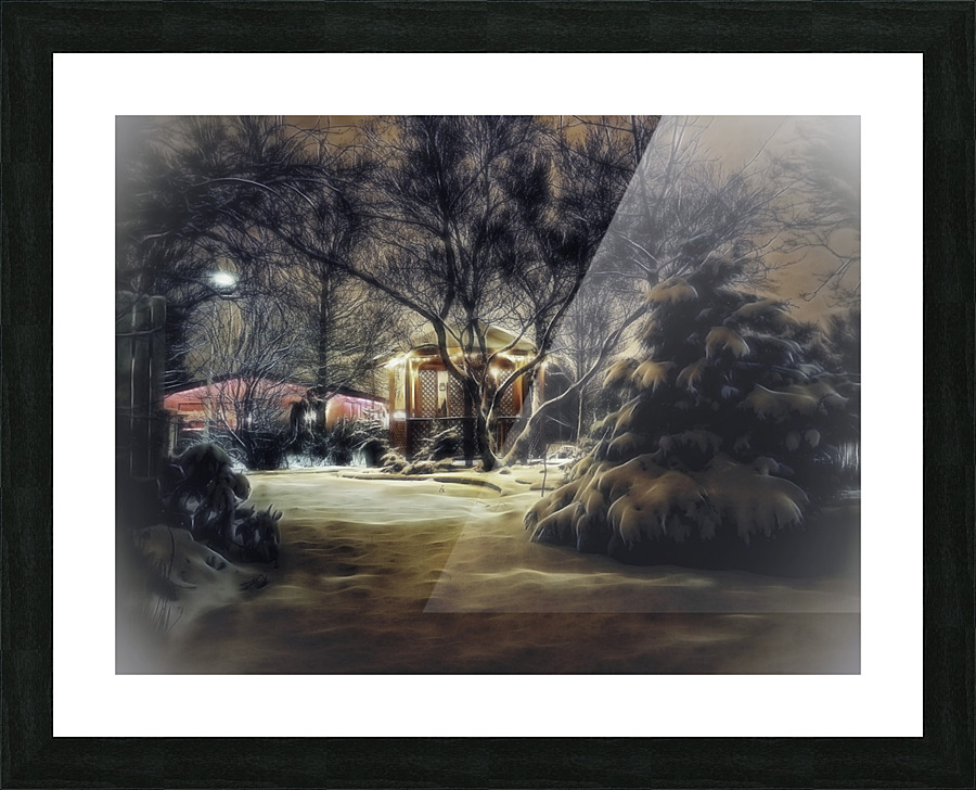 Winter garden 1 Picture Frame print