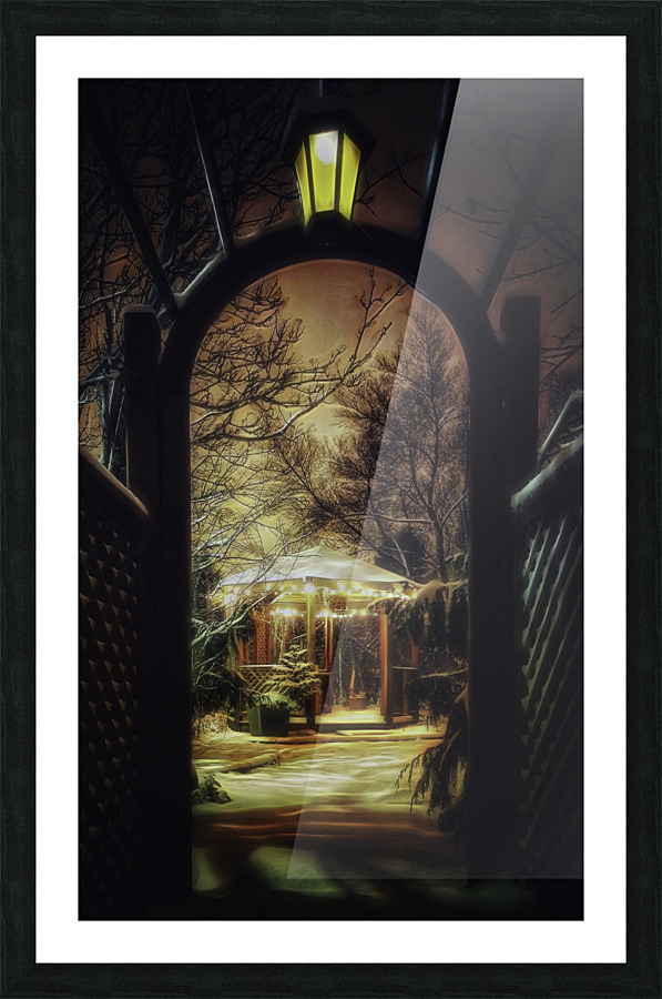 Winter garden 2 Picture Frame print