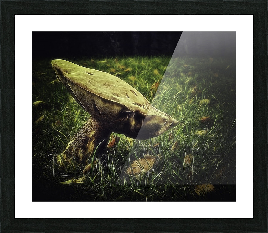 Fungus Picture Frame print