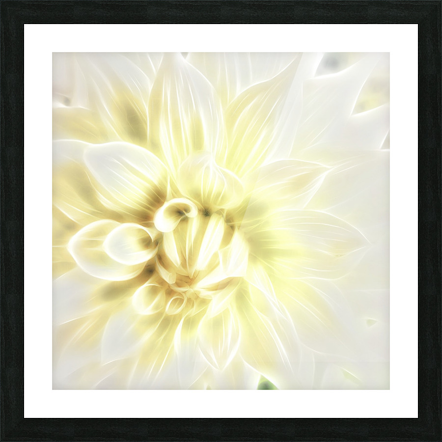 Dahlia Picture Frame print