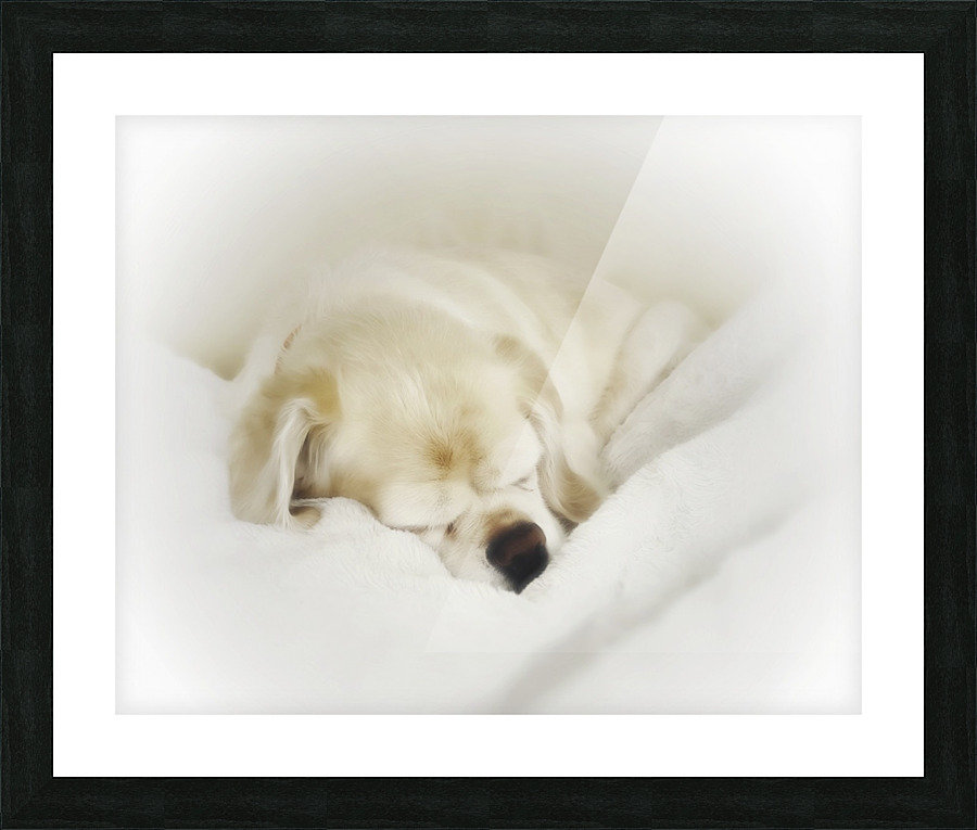 Bella Picture Frame print