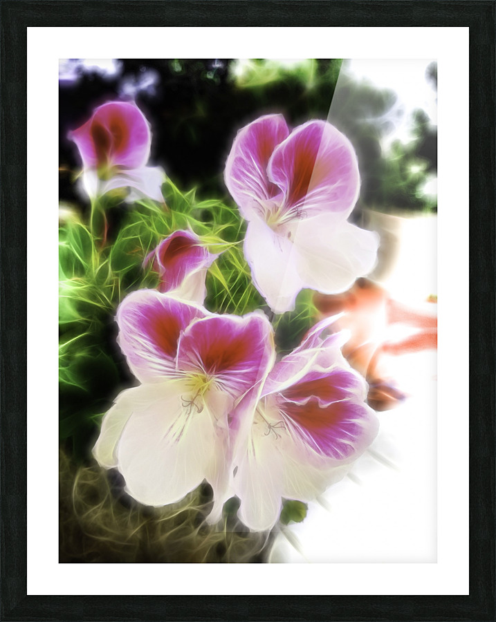 Untitled Picture Frame print