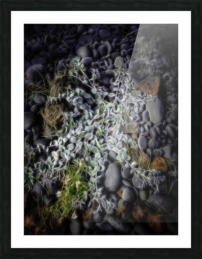 On the beach Picture Frame print