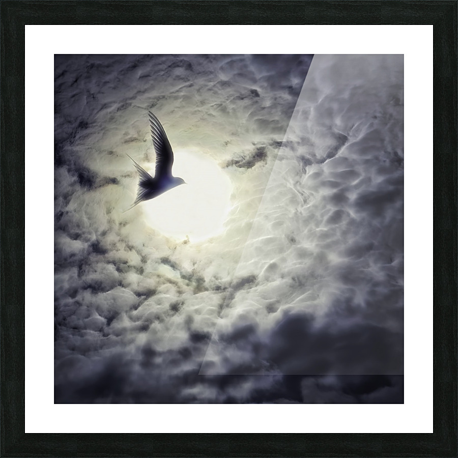 Towards the sun Picture Frame print