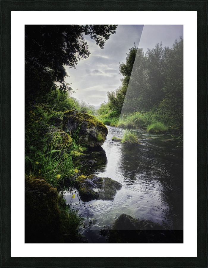 Paradisarlaut Picture Frame print
