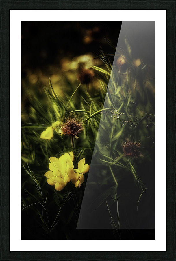 Untitled Picture Frame print