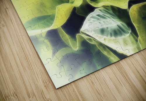 Hosta Pétur Reynisson puzzle