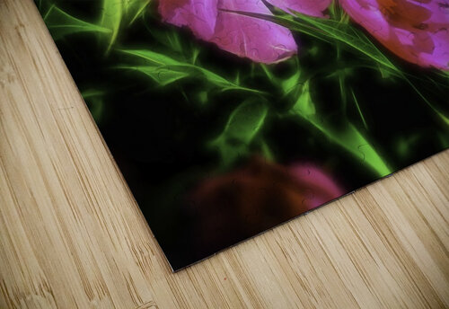 Paeonia Pétur Reynisson puzzle