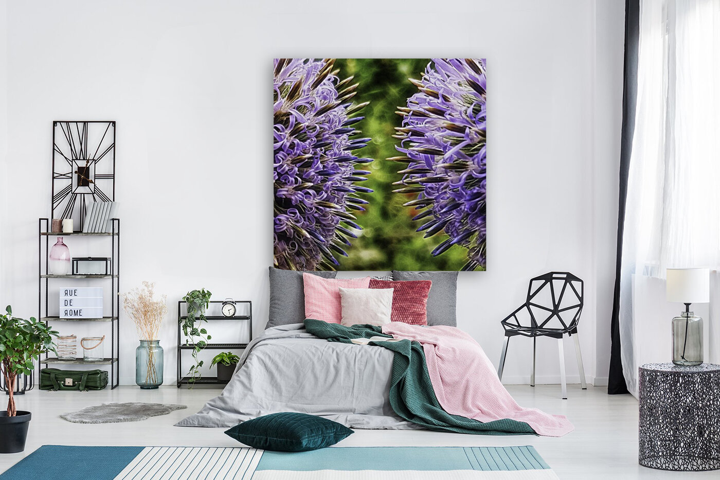 Echinops ritro Reproduction