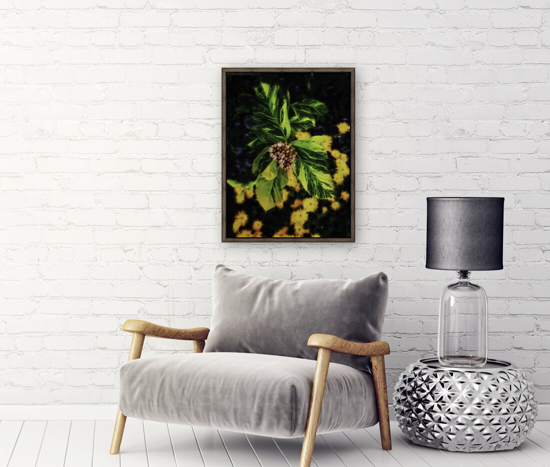 Sorbus x hostii Reproduction