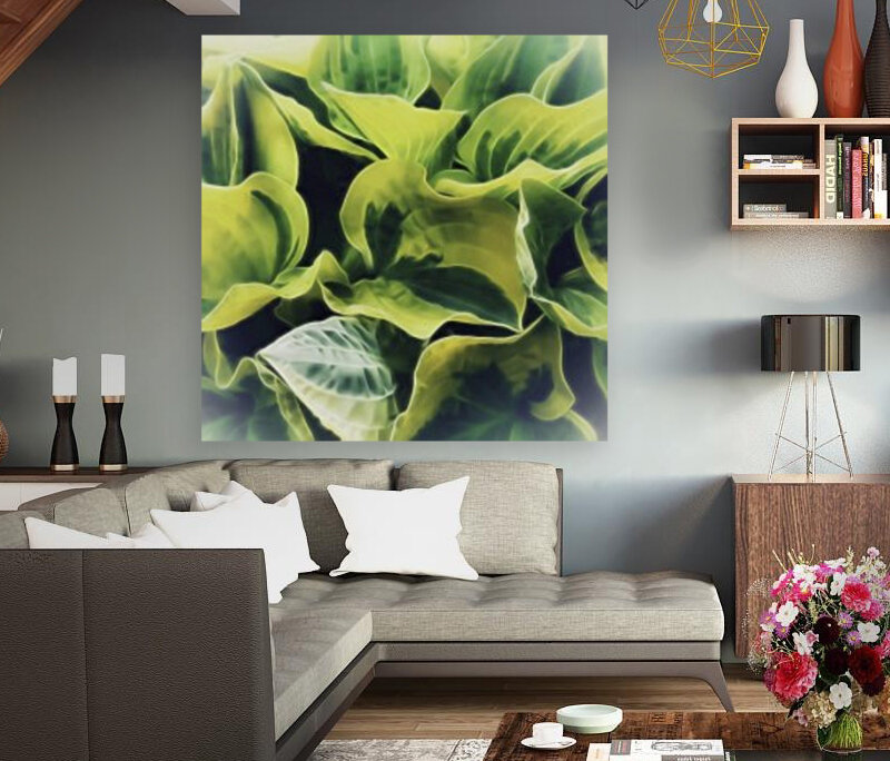Hosta Reproduction