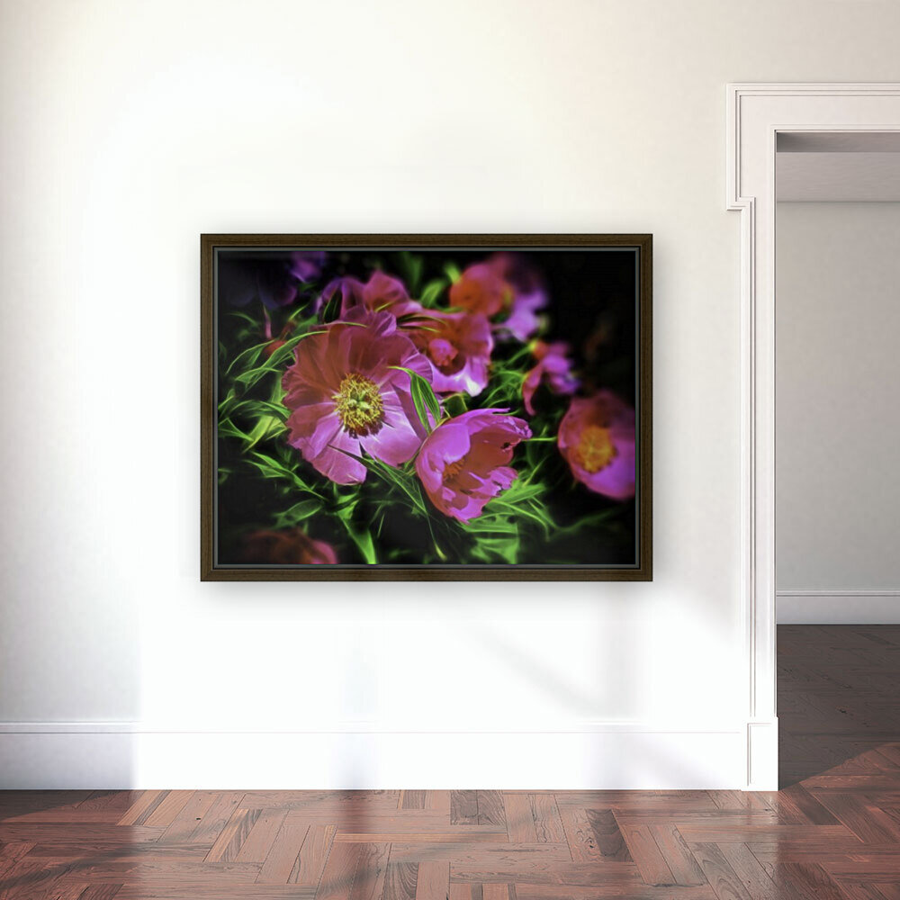 Paeonia Reproduction