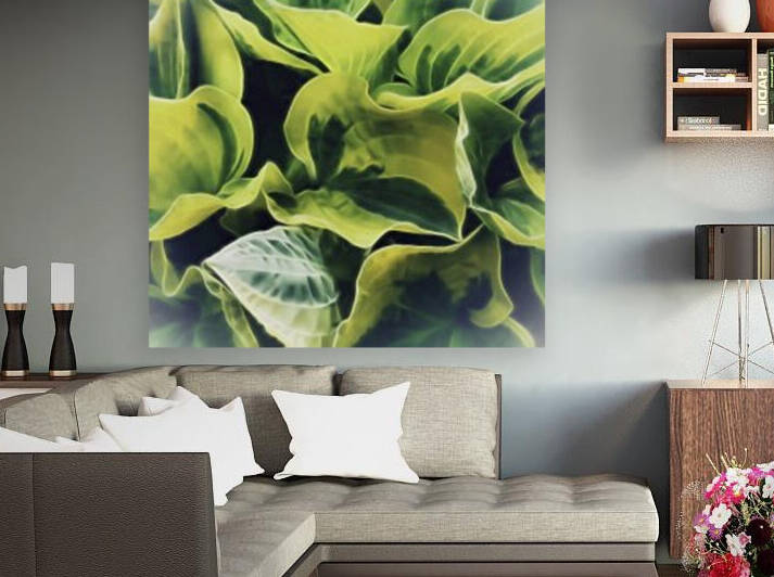 Hosta Reproduction