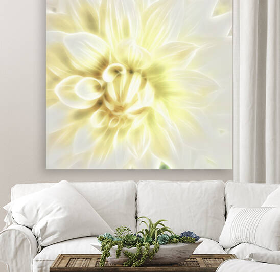 Dahlia Reproduction