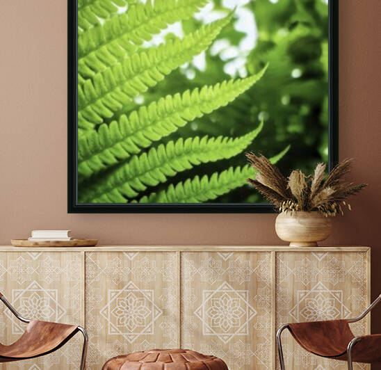 Fern Reproduction