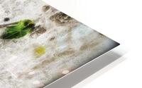 Hedera helix HD Metal print