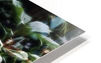 Helleborus niger HD Metal print