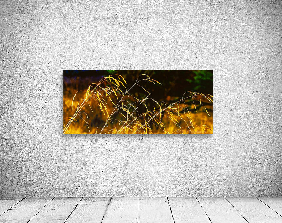 Straws Wall Preview