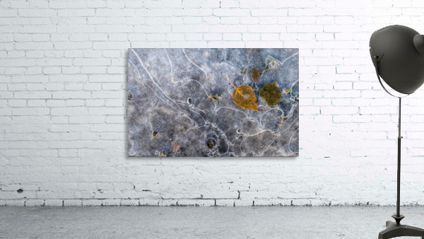 Waiting Wall Preview