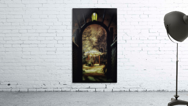 Winter garden 2 Wall Preview